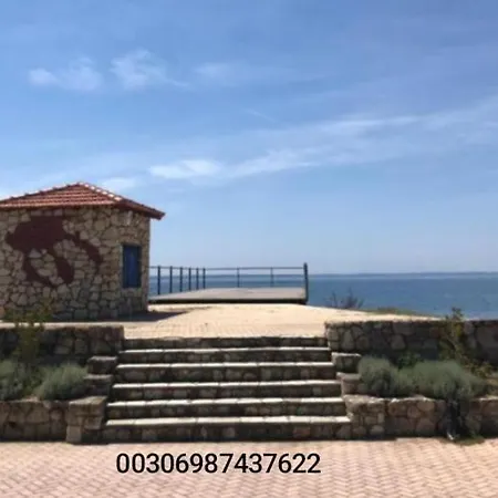 فيلة Rita's House